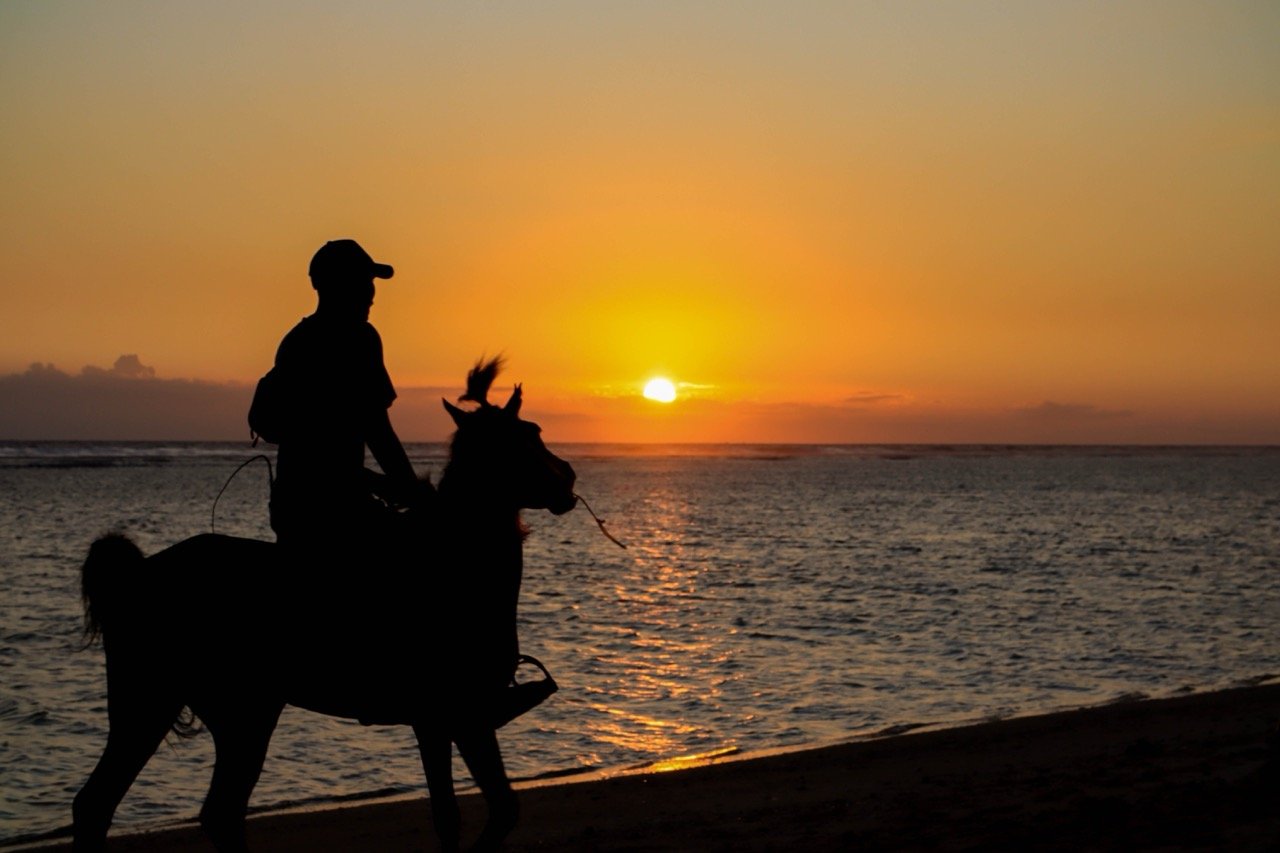 Silhouette of a person riding a horse along the beach at sunset with the ocean in the background.