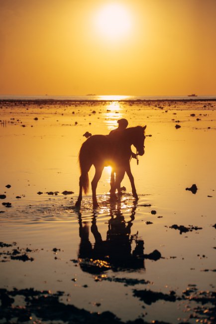 Silhouette of a horse with a rider at sunset on a beach, with reflections on the wet sand.