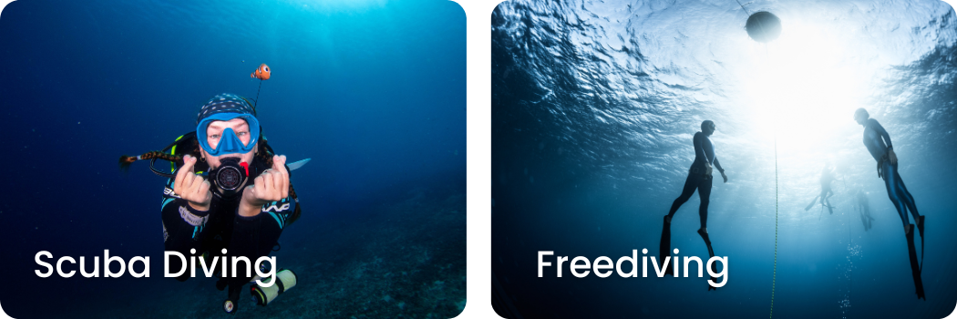 Split image showing a person scuba diving underwater holding a camera and two freedivers swimming near the surface with bubbles and sunlight