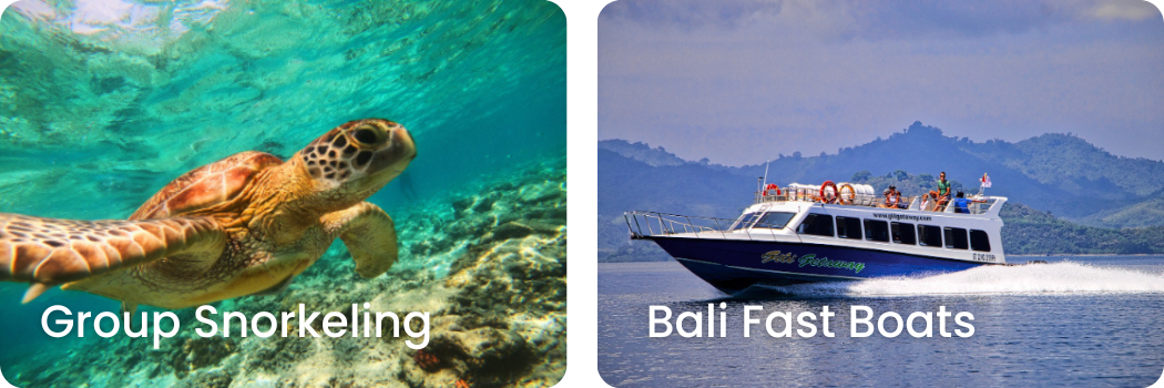 Left image shows a sea turtle swimming underwater near coral reefs off the gili islands. Right image shows a white and blue fast boat sailing on the water with mountains in the background.