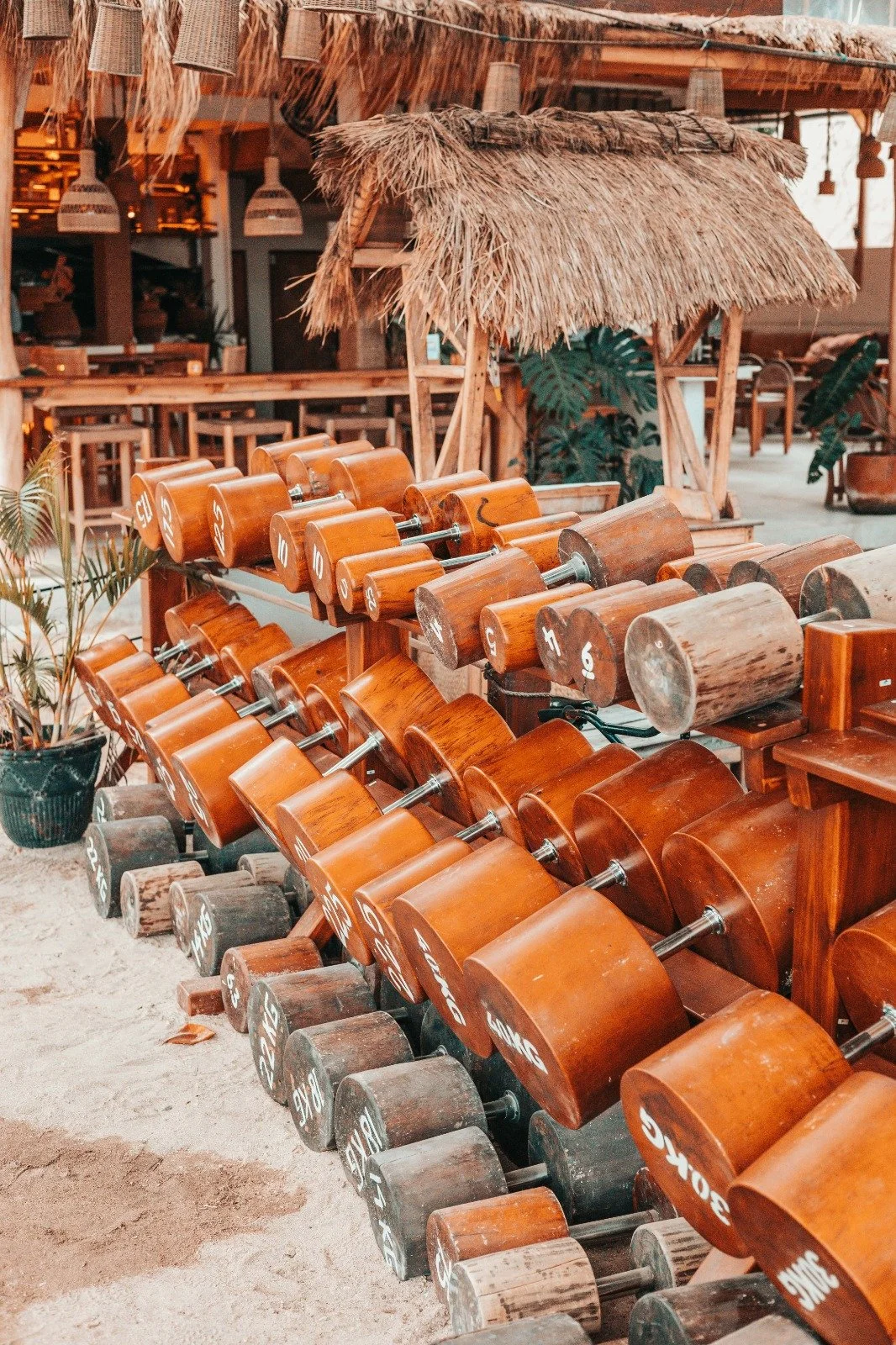 Row of wooden dumbbells arranged on racks in a rustic, tropical-themed gym with thatched roofs and tropical plants.