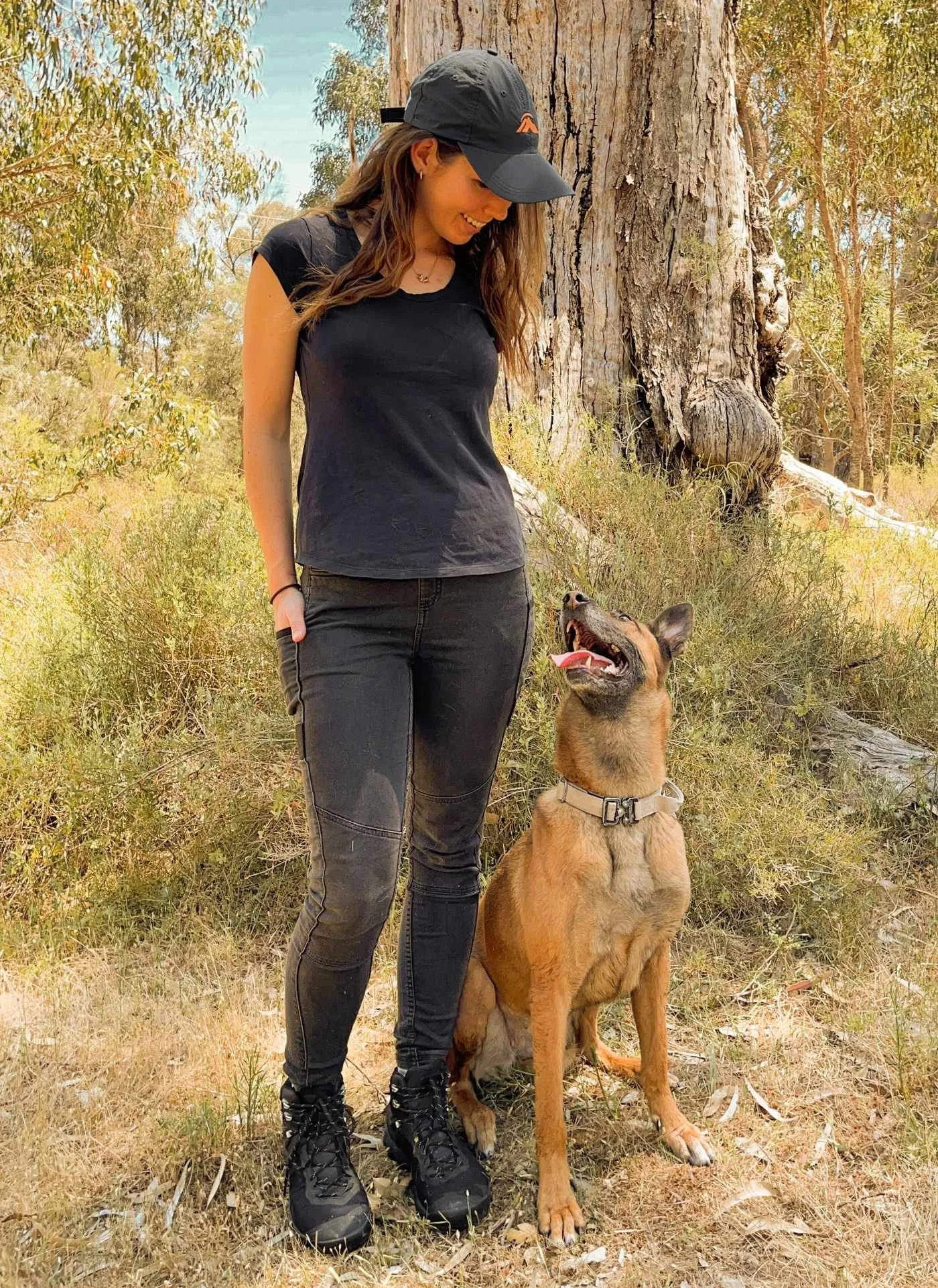 Dog trainer, Belgian Shepherd Malinois Dog