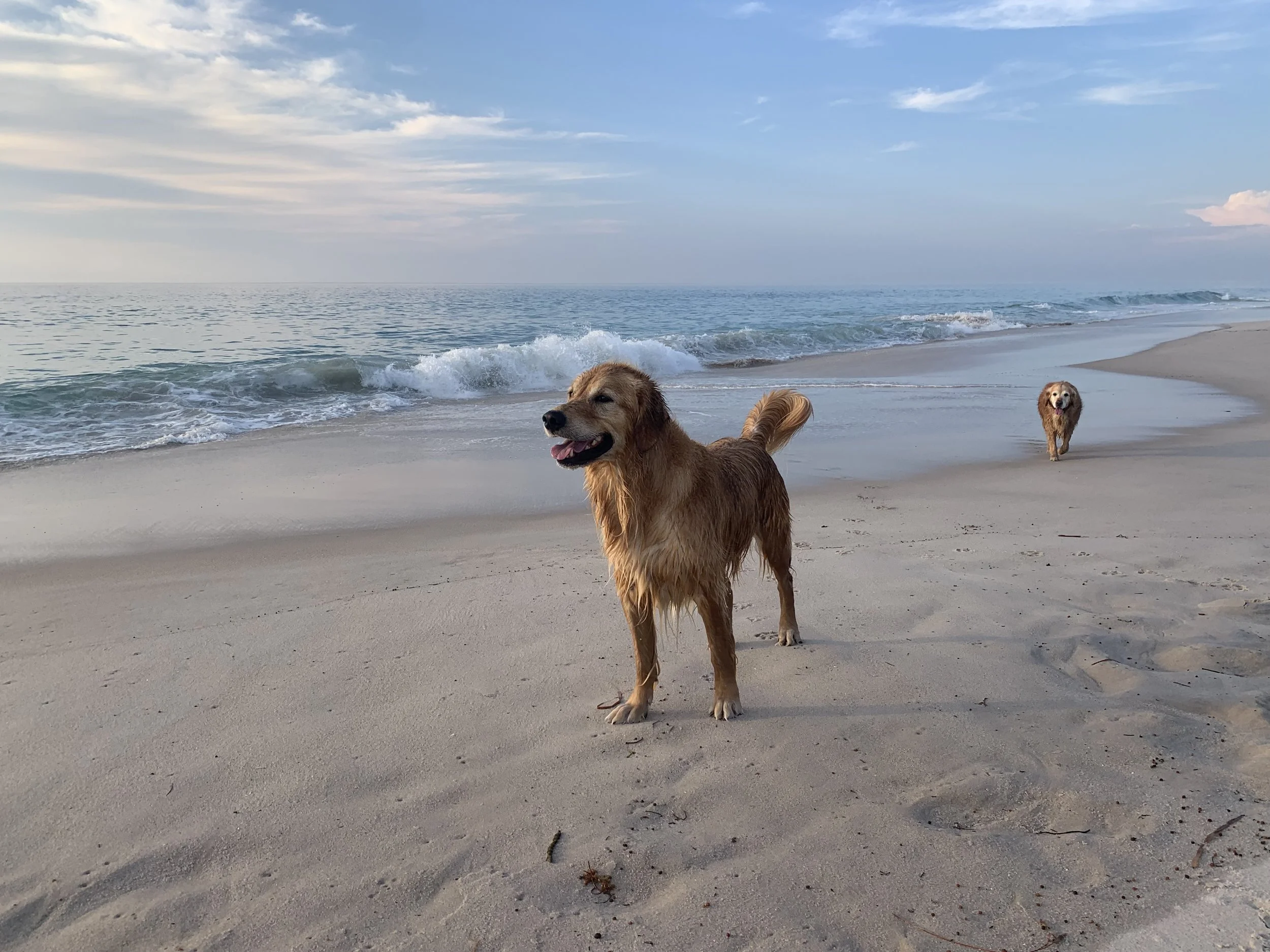 Lender Edge Carrackalinga Mortgage Broker