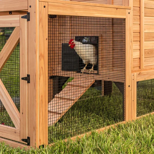 SIZE_SweatwaterBrown_ChickenComingoutAutoDoor_2500x2500_V1.webp