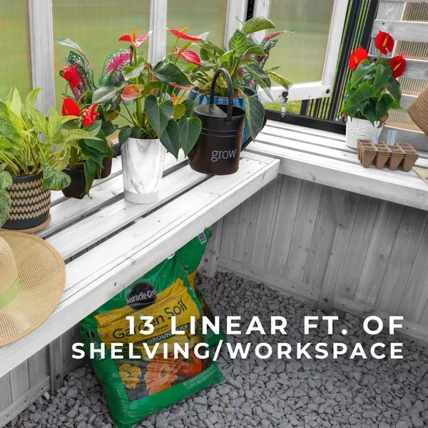 SIZE_WhiteWillowGreenhouse_Lifestyle_StagingShelves_V1.webp