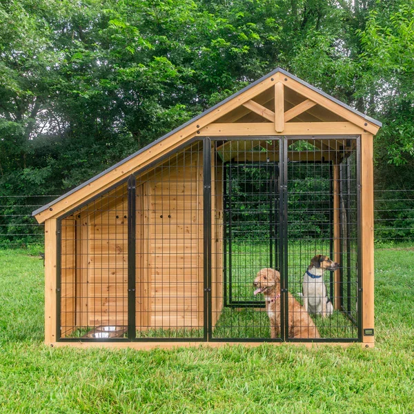 AnimalEnclosureFront4A5A6307.webp