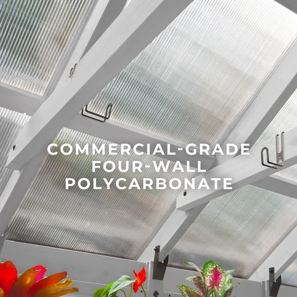 SIZE_9x6_WhiteBelleroseGreenhouse_Lifestyle_FourWallPoly_V1.webp