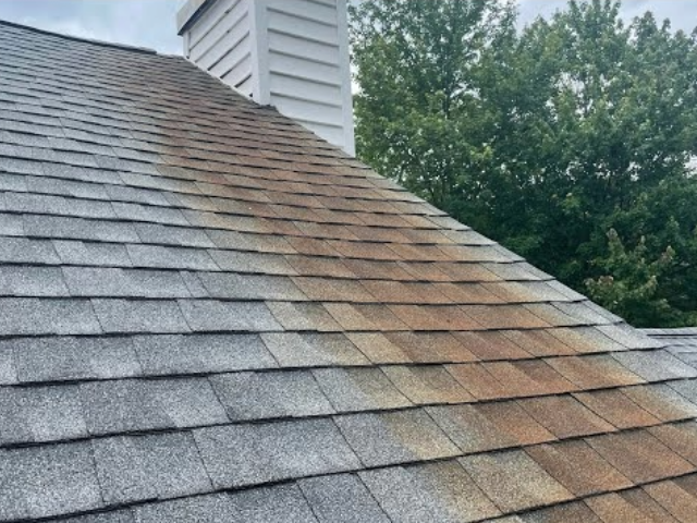Close-up of a residential shingle roof with a chimney and trees in the background.