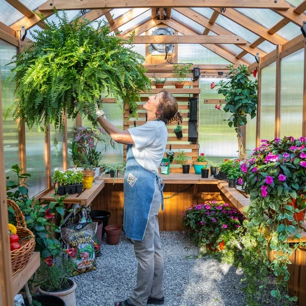 SIZE_11x7_BelleroseGreenhouse_Lifestyle_WomanGardening_V1.webp