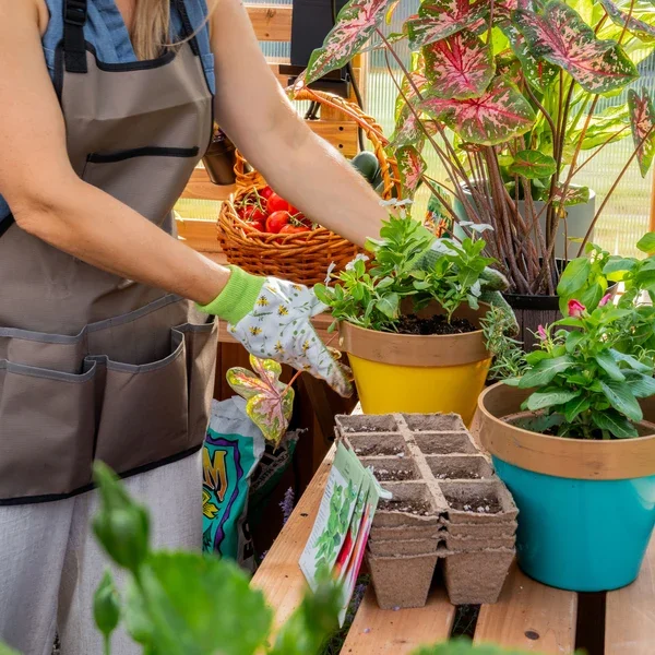 SIZE_12x7_ZalieGreenhouse_Lifestyle_PottingStation_V1.webp