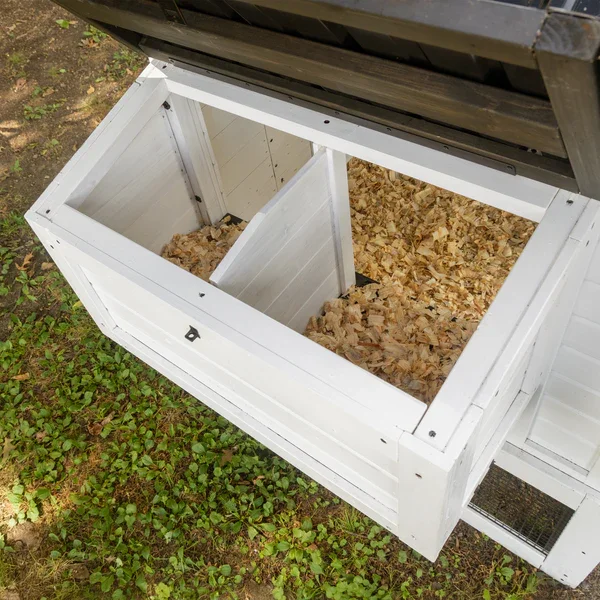 fadwydvfdfxmtzrccmrk.webp
