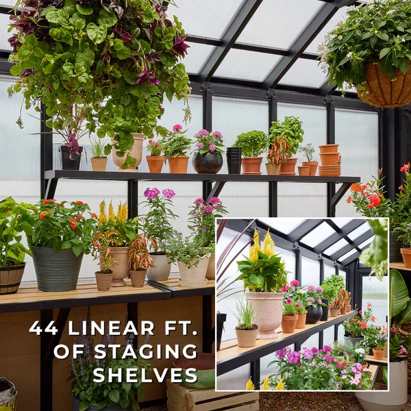 SIZE_Larkspur_Greenhouse_StagingShelves_v1.webp