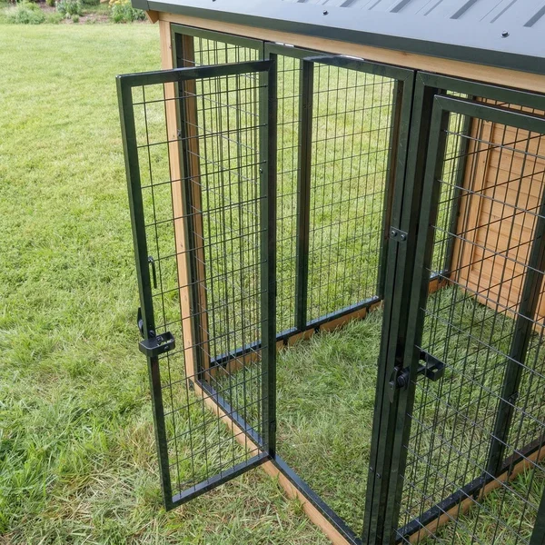 Animal-Enclosure-XL_Door_Open_v1.webp