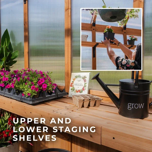 SIZE_BelleroseXL_Lifestyle_StagingShelves_V1.webp
