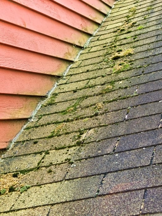 Roof with moss and dirt buildup along the seam where pink siding wall meets shingles.