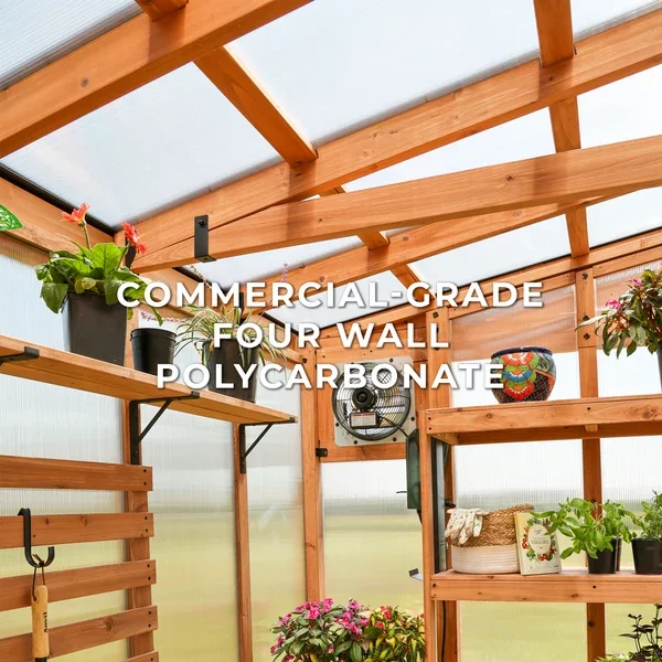 SIZE_11x7_PoppyGreenhouse_Lifestyle_FourWallPoly_V1.webp