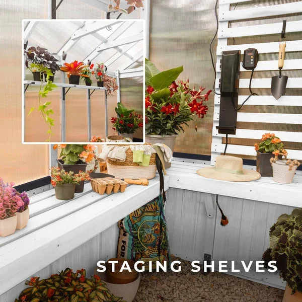 SIZE_9x6_WhiteBelleroseGreenhouse_Lifestyle_StagingShelves_V1.webp