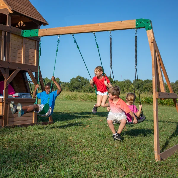 Cedar-Cove-Swing-Set-Swings.webp