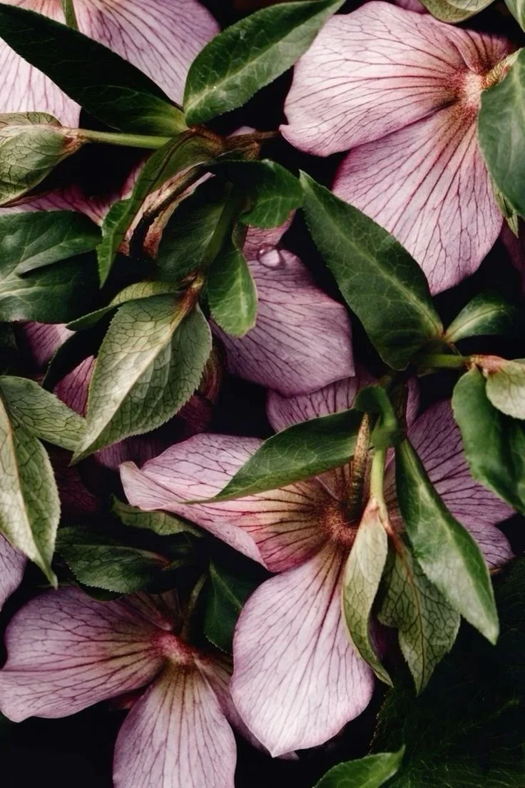 Monthly Moodboard: November ‘25