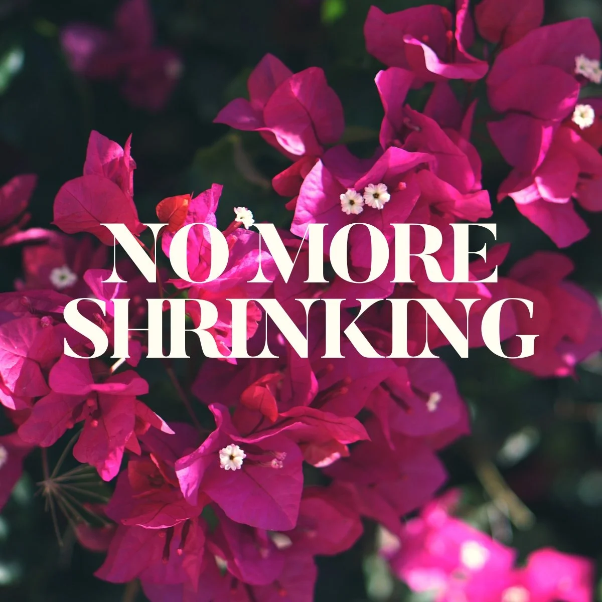 Dr. Adia Gooden Insta Feed Templates (1).jpg