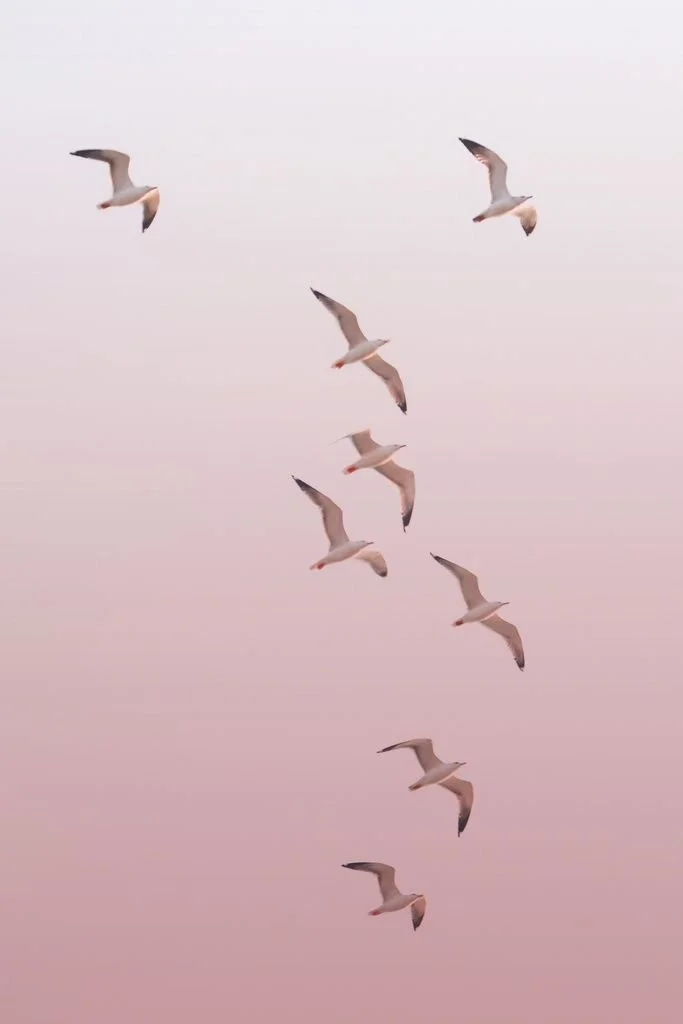 Monthly Moodboard: April ‘26