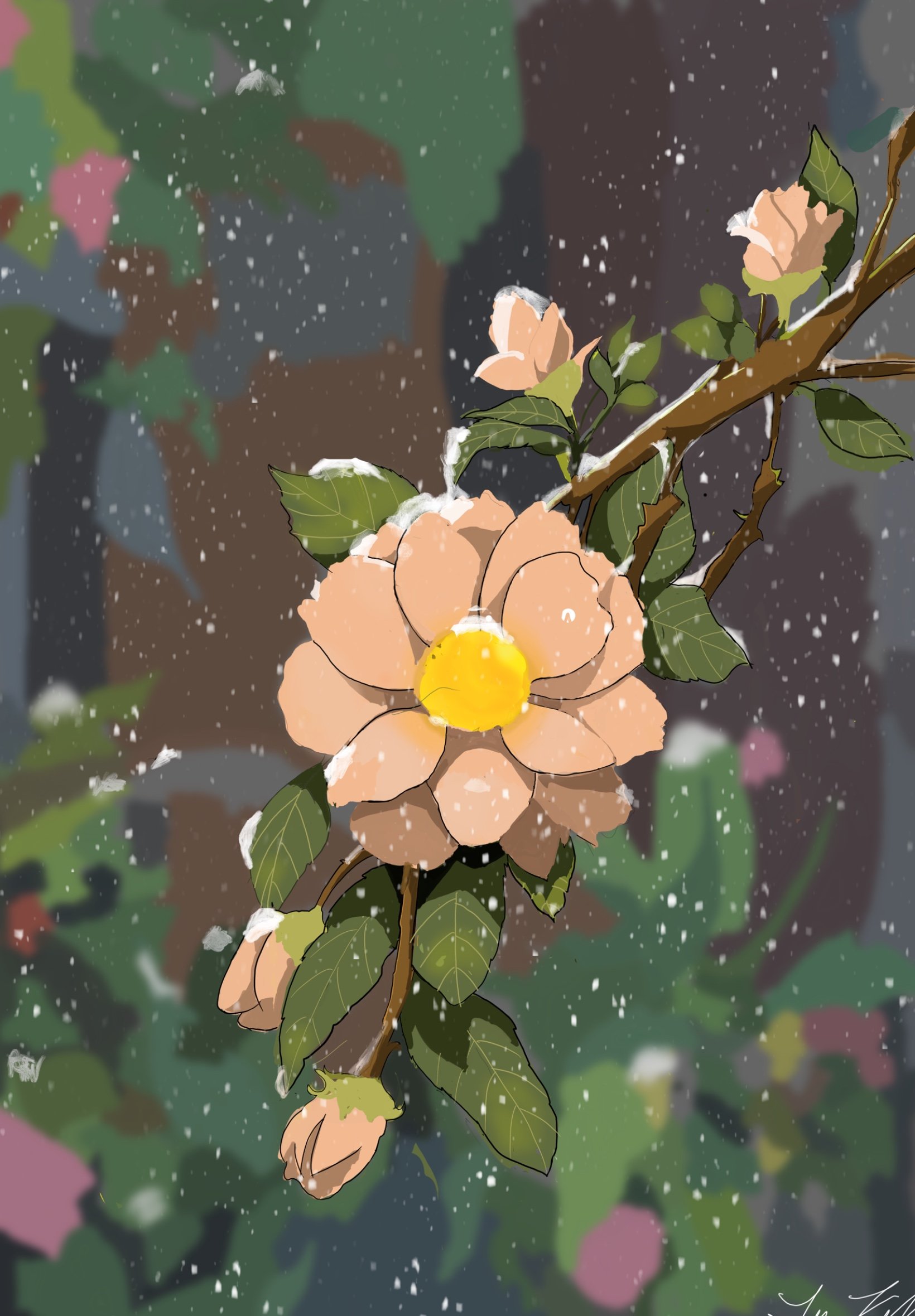 Untitled_Artwork (8).jpg