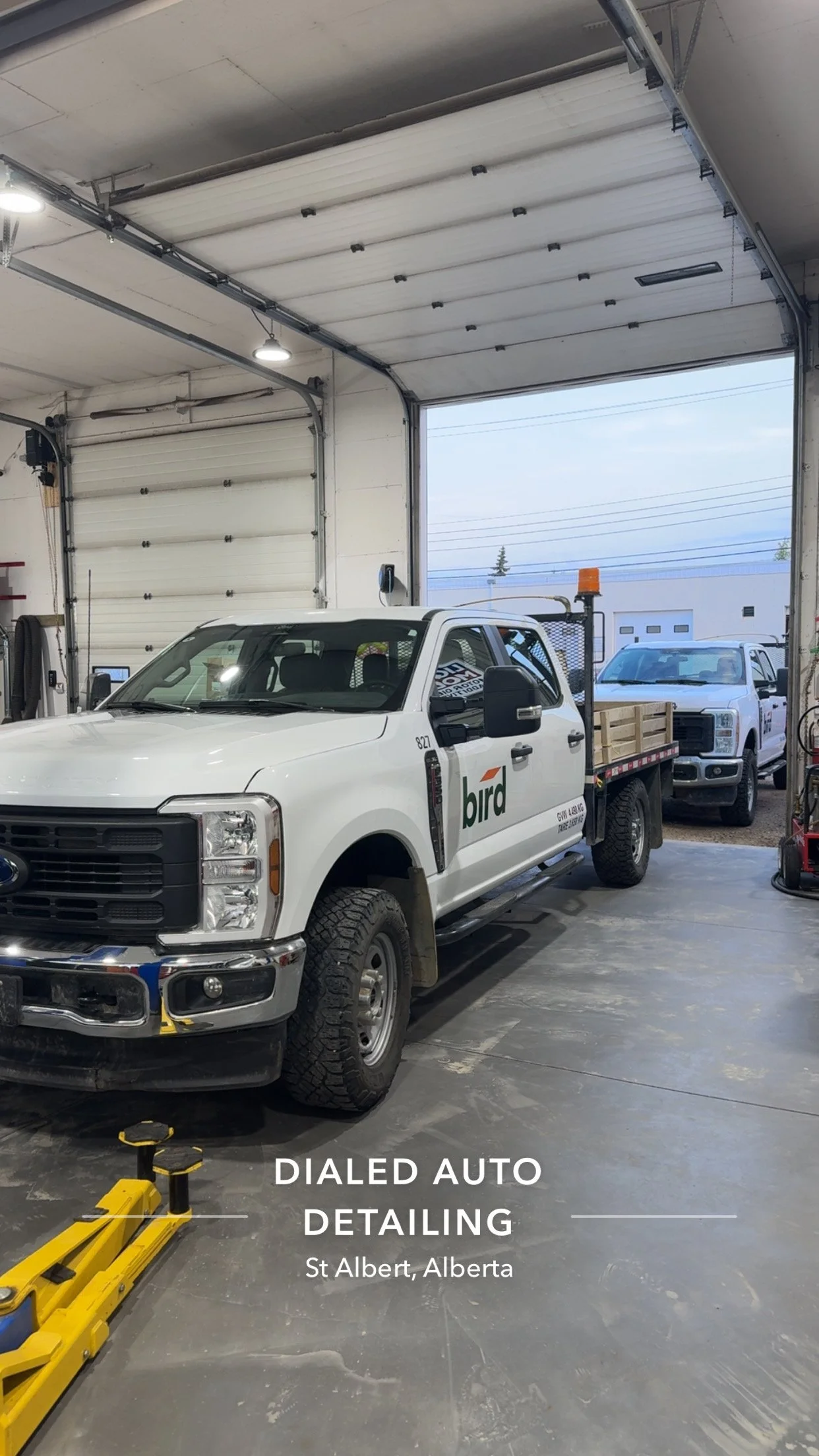 Interior of a garage with a white pickup truck with 'bird' logo parked inside, a second truck in the background, and overhead garage door open to outside. Text overlay reads 'Dialed Auto Detailing, St. Albert, Alberta'.