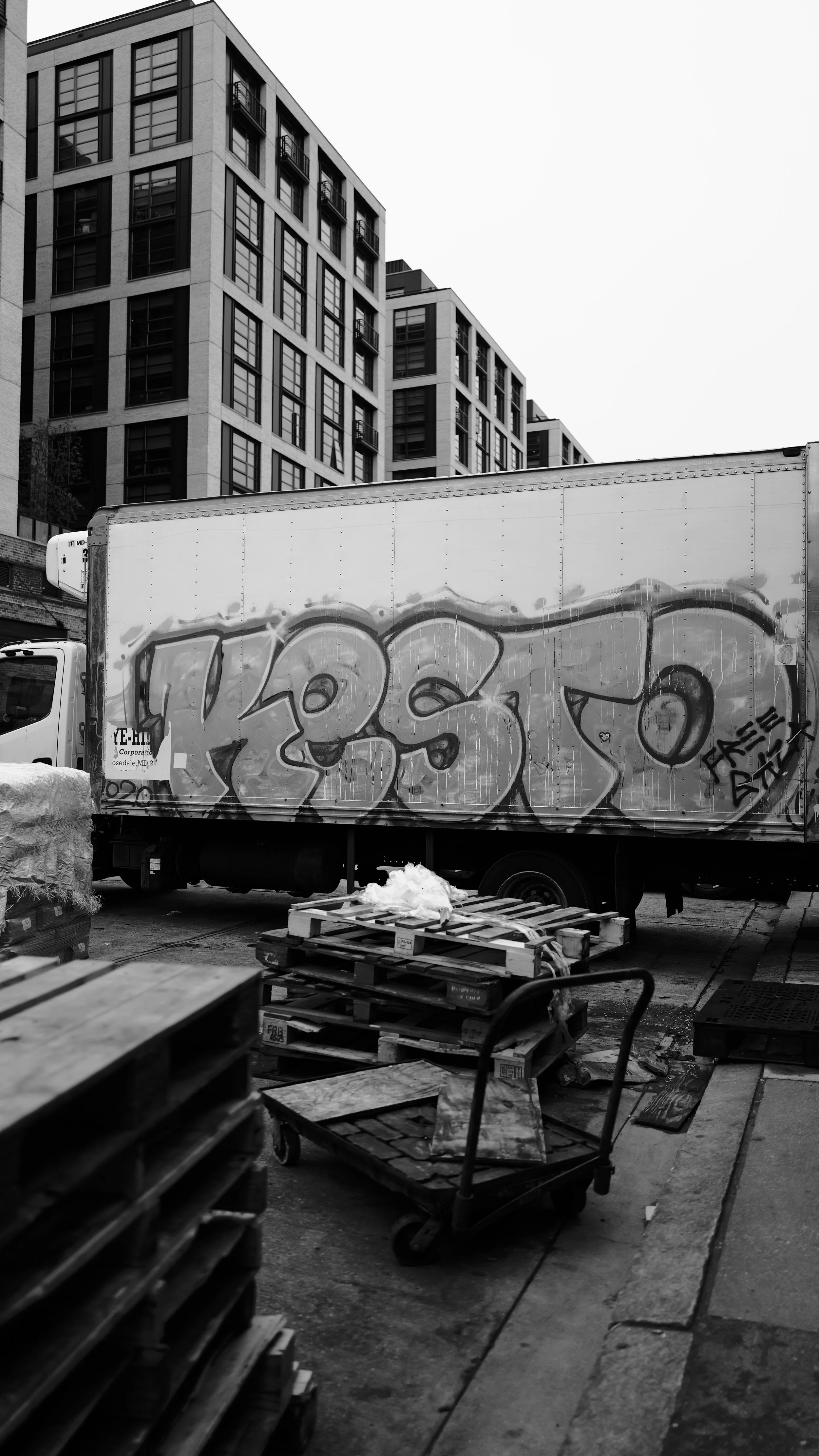 L1010249.JPG