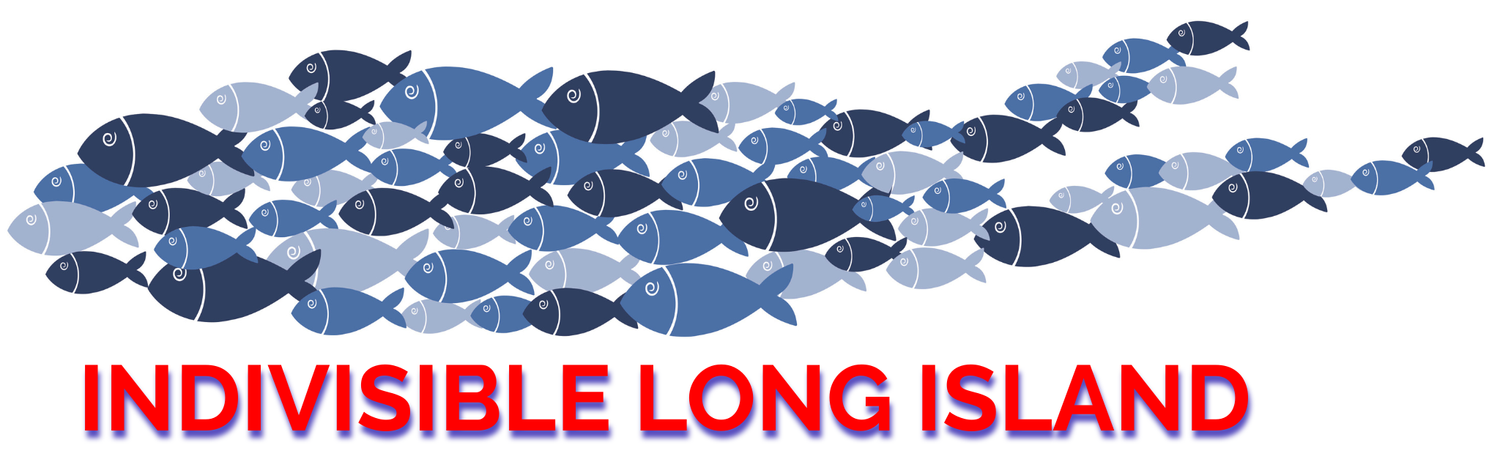 Indivisible Long Island