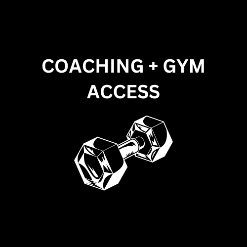 Gym day pass. Casual visit gym day pass. Casual gym day pass jervis bay 