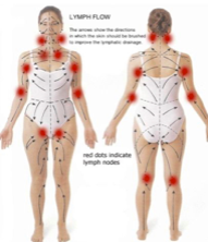 Screen Shot 2025-11-27 at 5.21.52 AM.png