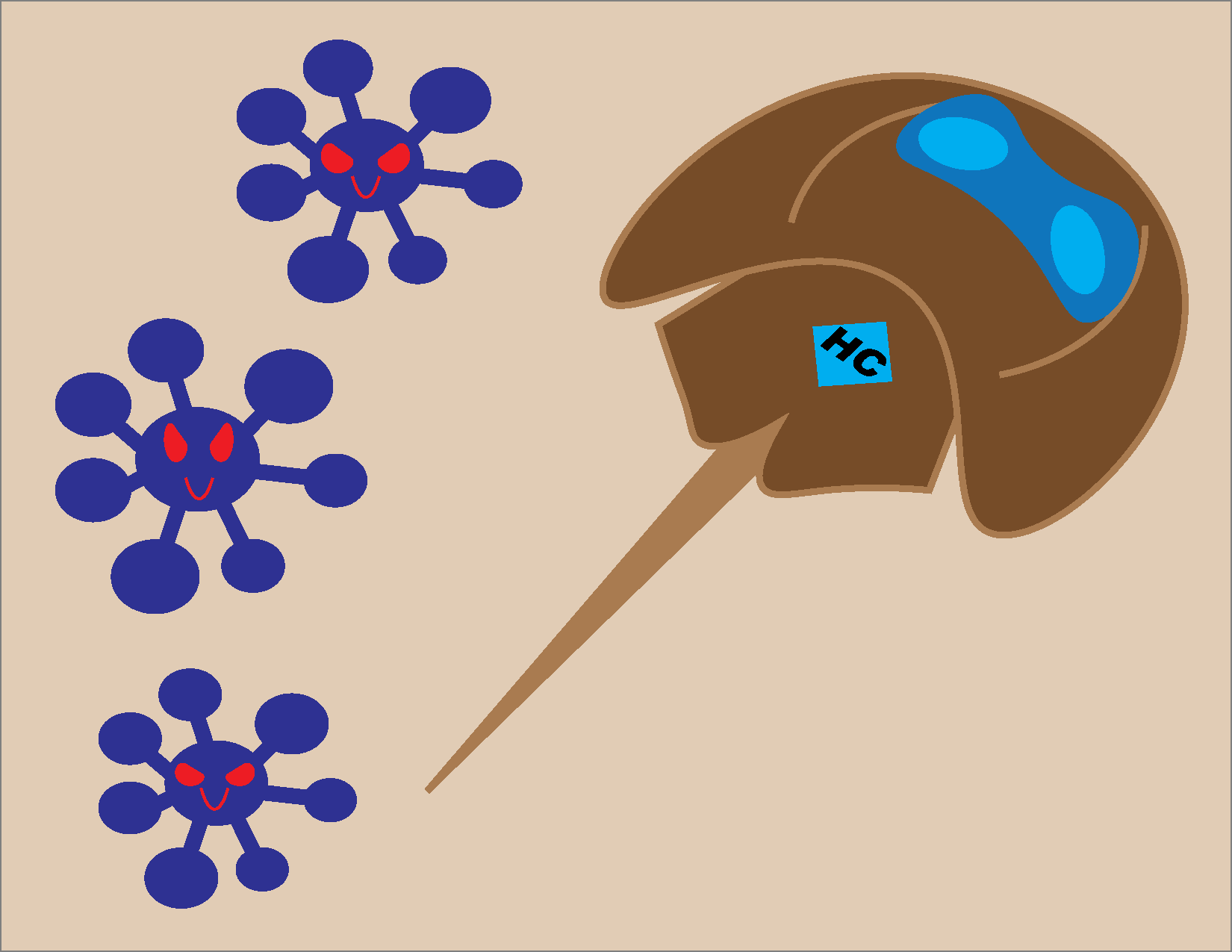 New England Coastal Wildlife Alliance (NECWA) Internship