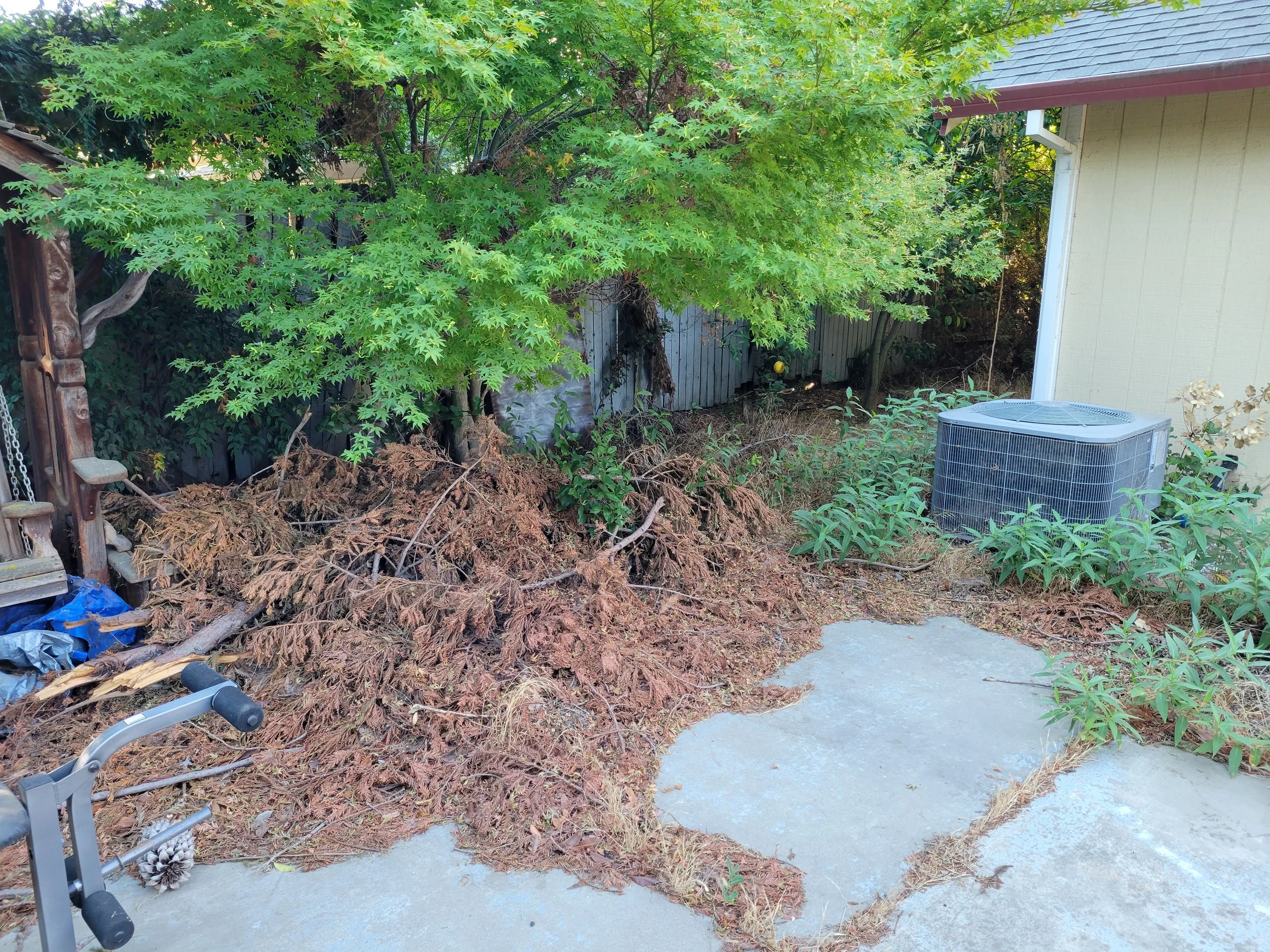 Patio Before