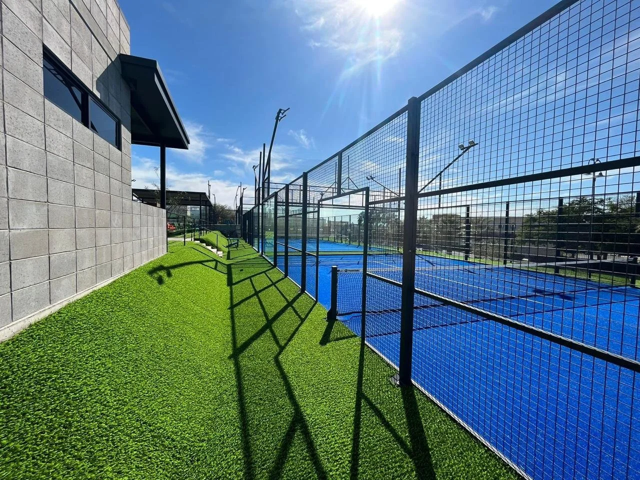 WhatsApp Image 2024-02-20 at 11.47.27.jpeg