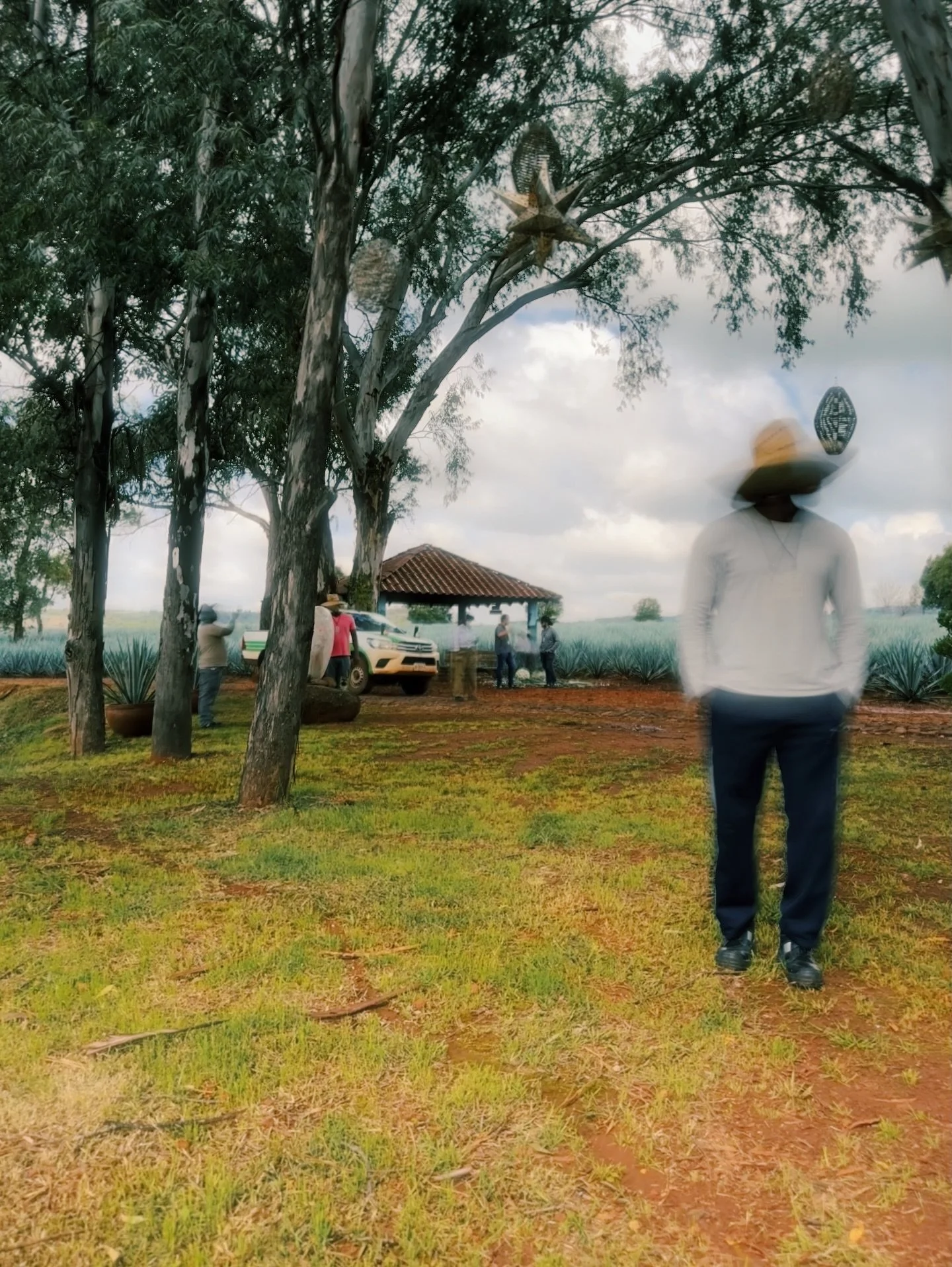 Thank you to the @bacardi family for broadening my horizons on what craftsmanship, hospitality, and intentionality can create. 

The Patr&oacute;n Hacienda is an amalgamation of thoughtful detailing and consistent process. It is what we strive to be 