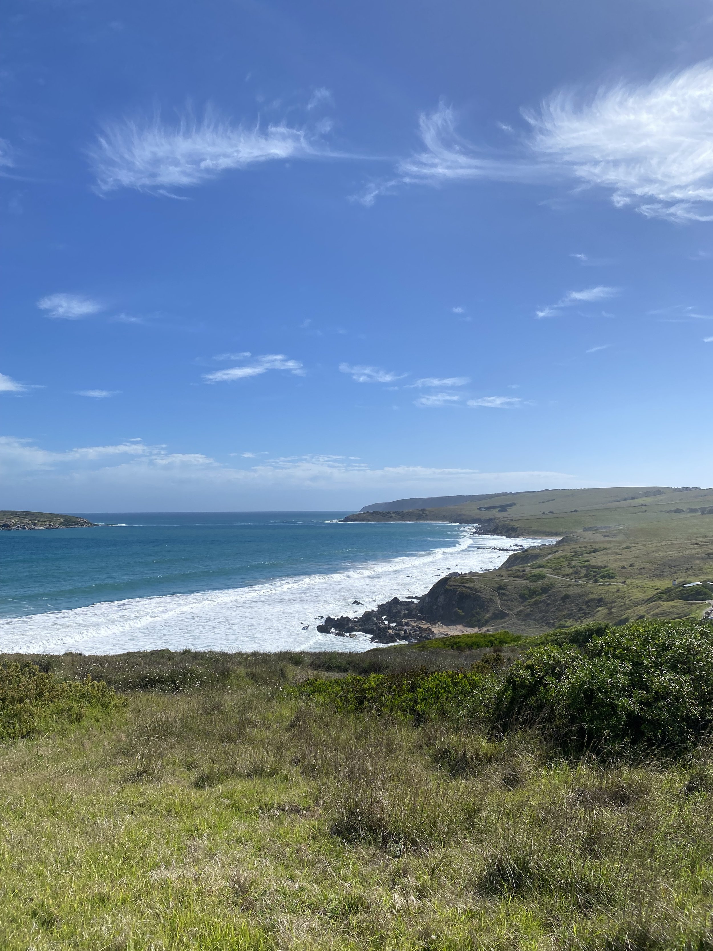 Scenic view of a coastline with green grassy foreground, rocky cliffs, and the ocean under a blue sky with wispy clouds.