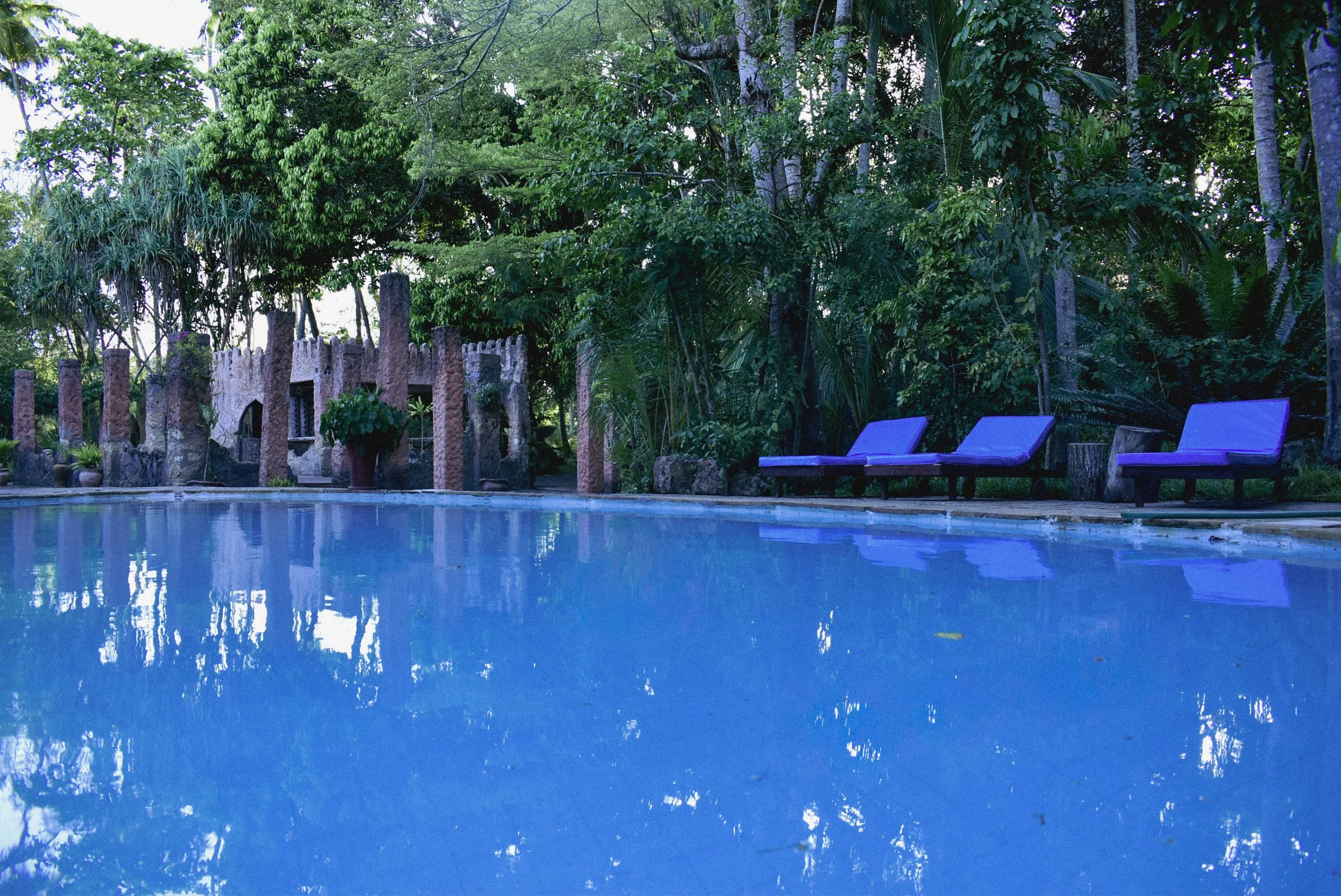 Swimming pool surrounded by lush green trees and plants, with three empty lounge chairs along the poolside at Utopia Cultural Pool Fest, and a decorative stone that is Paradise Lost, Heritage House in Shirazi Kenya, 20km outside of Diani. Fun events