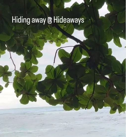 View of green leafy tree branches with a beach and ocean in the background, and the text 'Hiding away @ Hideaways' overlayed.