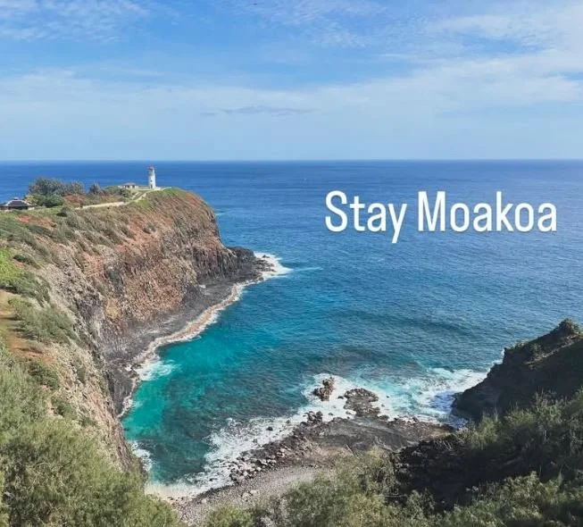 Scenic view of the ocean with cliffs, a lighthouse, and the text 'Stay Moakoa' overlayed.