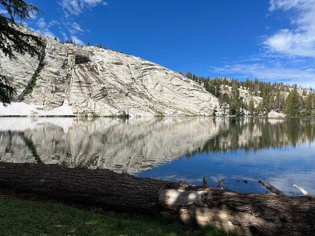A gorgeous Sierra lakeshore with a downed log in the foreground and while, granite mountains and pine trees in the background.