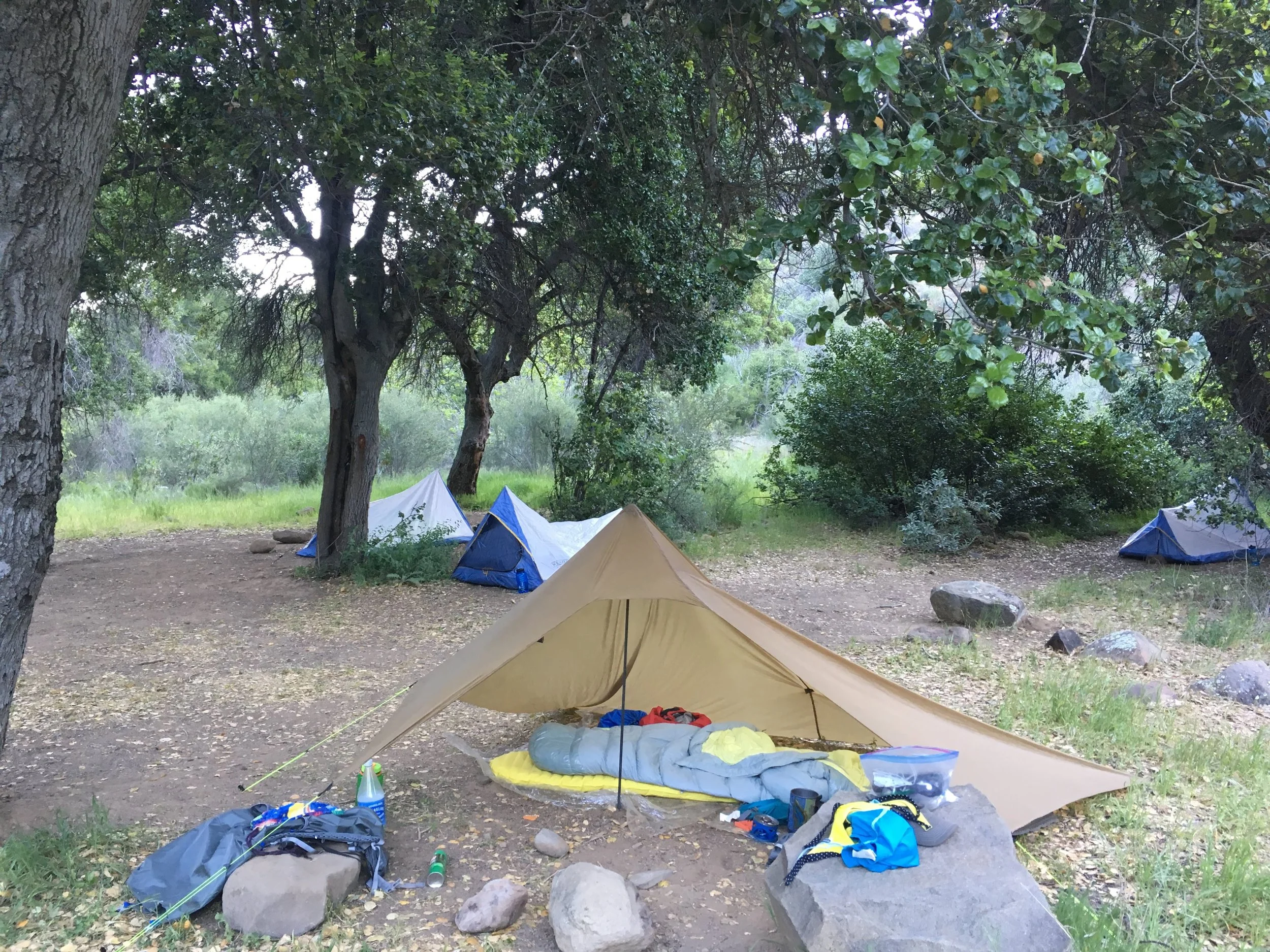 A dirt patch surrounded by grass and shrubs, with a few scattered trees, and a tarp backpacking tent setup in the foreground and several other tents in the background.