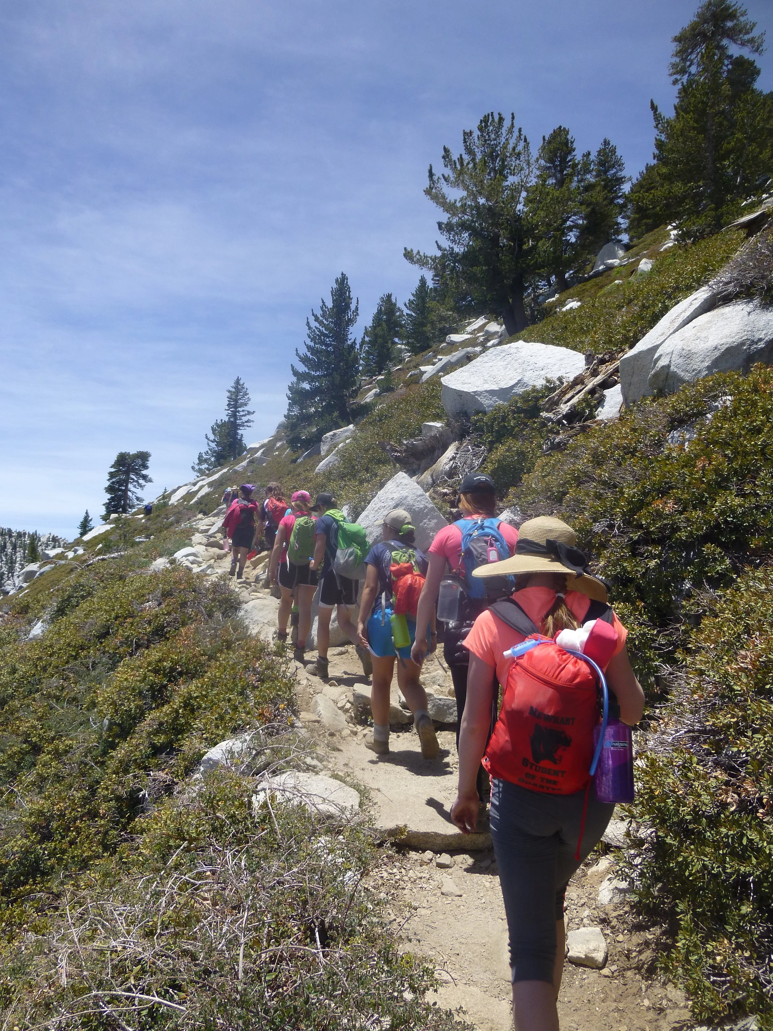 Girl Scouts hiking up San Jacinto Peak on a dirt rail with green shrubs on both sides and trees and a blue sky in the distance.