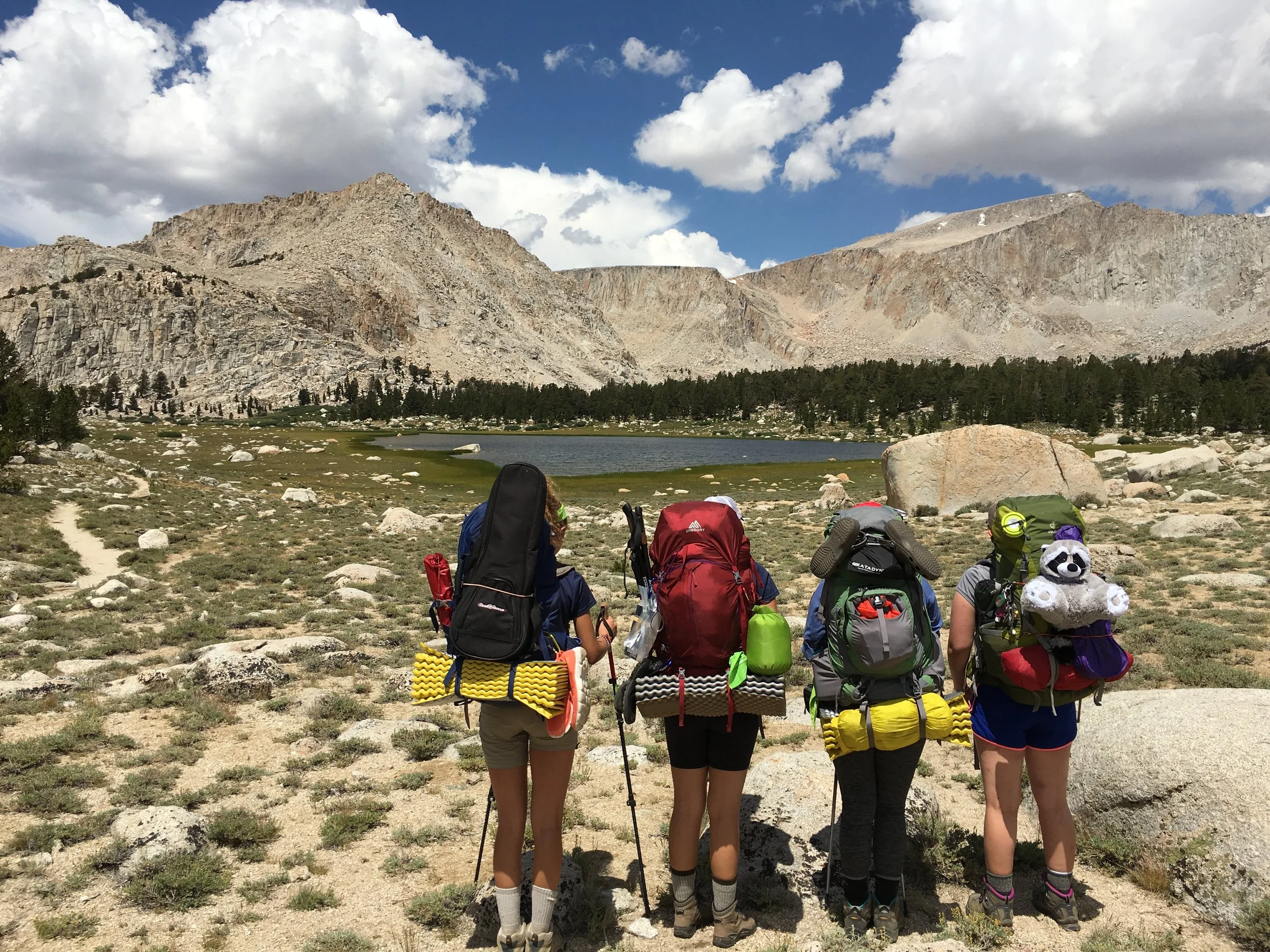 Four Girl Scout backpackers with their backs to the camera standing in front of a dry lakeshore with a lake in the distance, surrounded by trees and large mountains.
