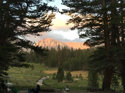 A beautiful meadow in the foreground, framed by two trees on either side of the frame and Mount Whitney in the background.