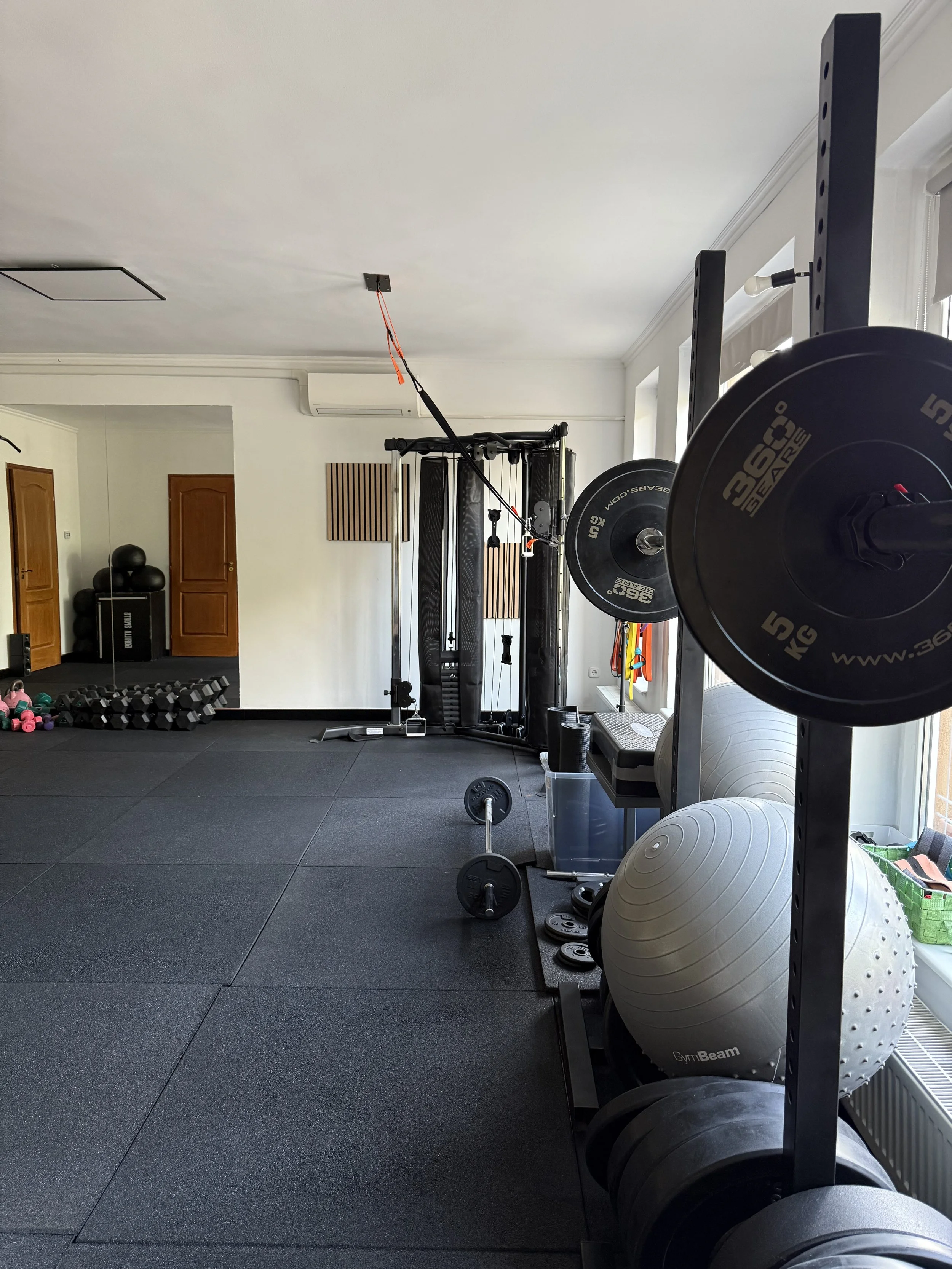 Home gym with black weight plates, dumbbells, stability balls, and various exercise equipment.