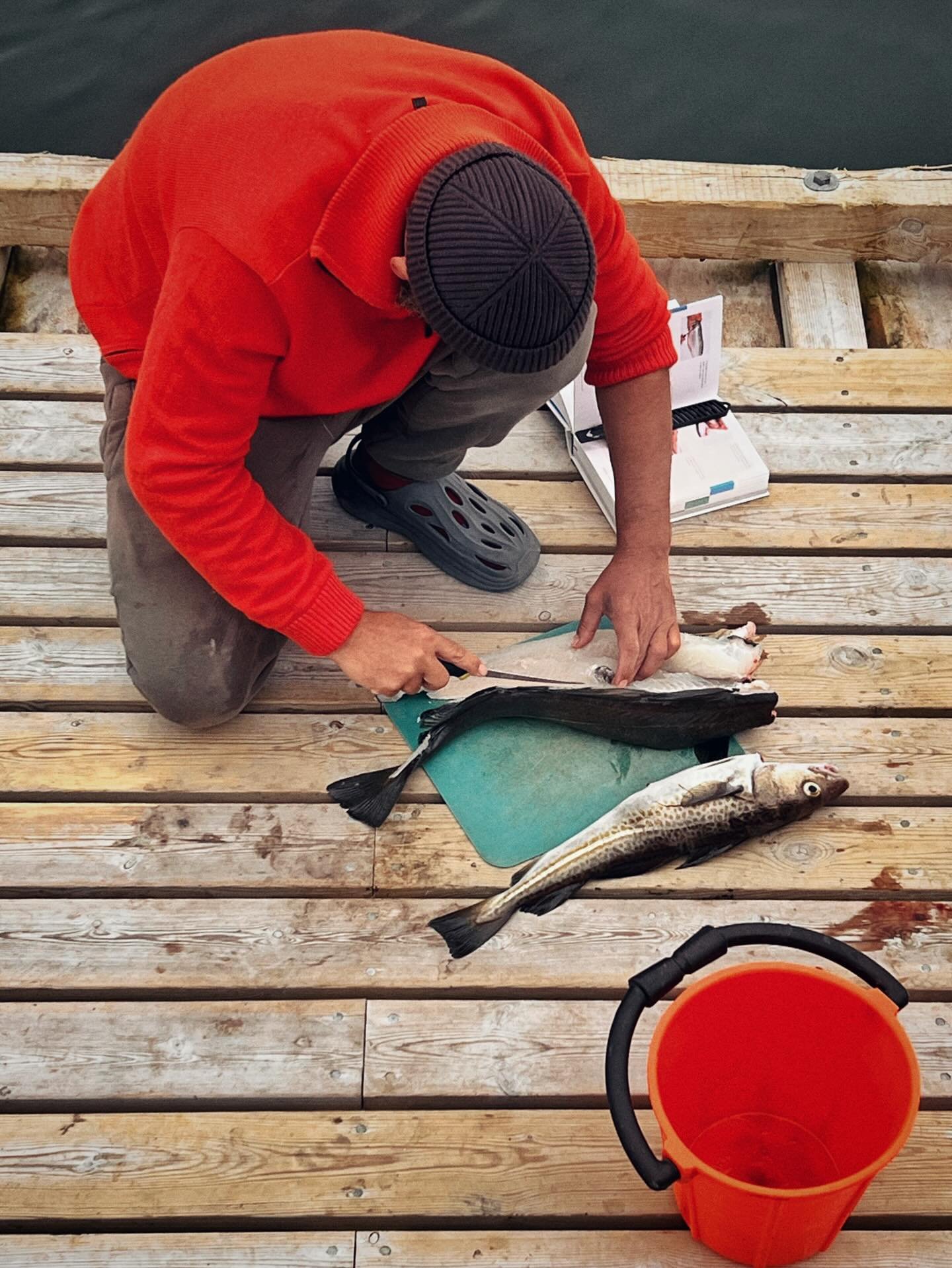 A lovely Greenlandic lady came back from fishing on her own in the fjord and asked if we&rsquo;d like some freshly caught cod. From her little motor boat she handed over a huge already gutted one and a smaller one that needed to be cleaned so we imme