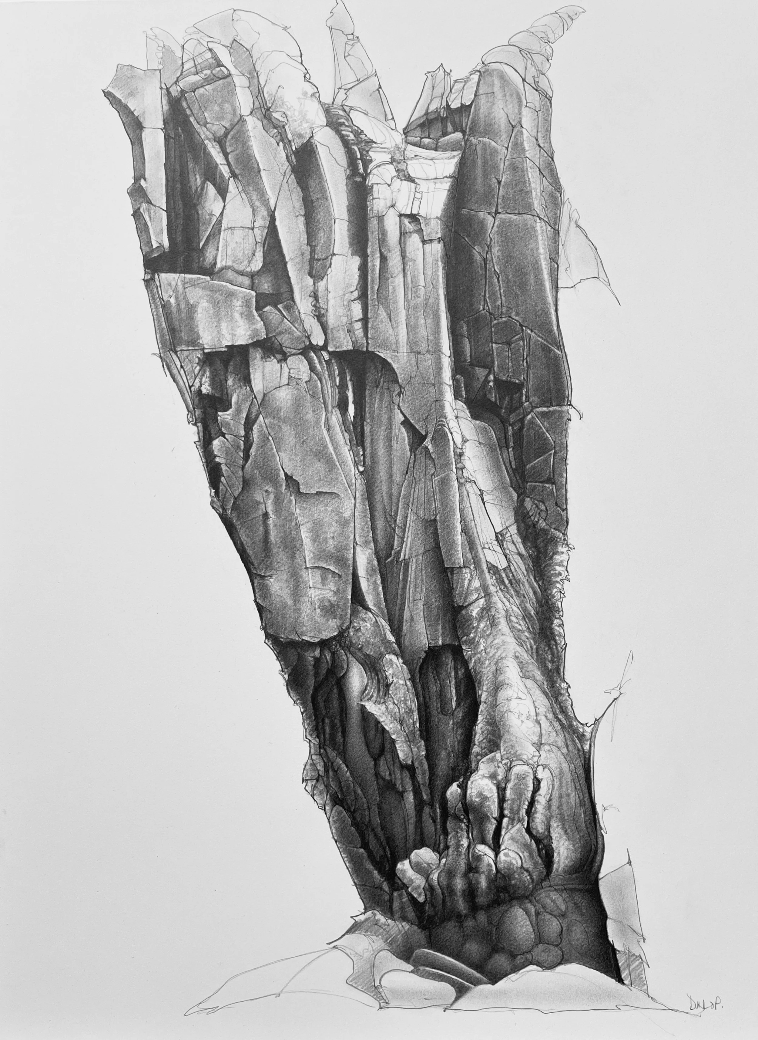  Rock Face, Clach Uaine, Eilean Mhuire, Shiant Isles - drawing,  56 x 76 cm £2700