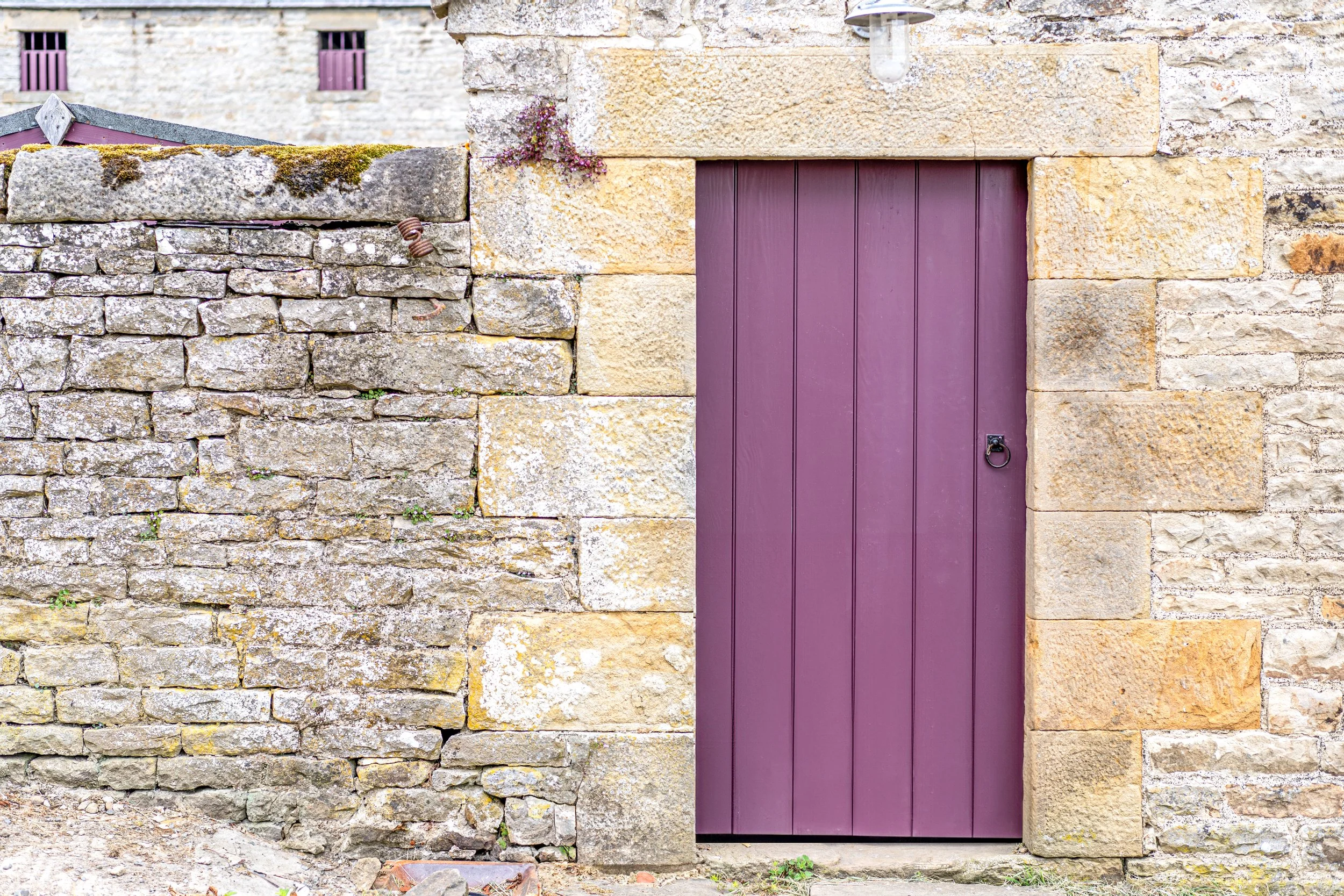 purple farm door.jpg