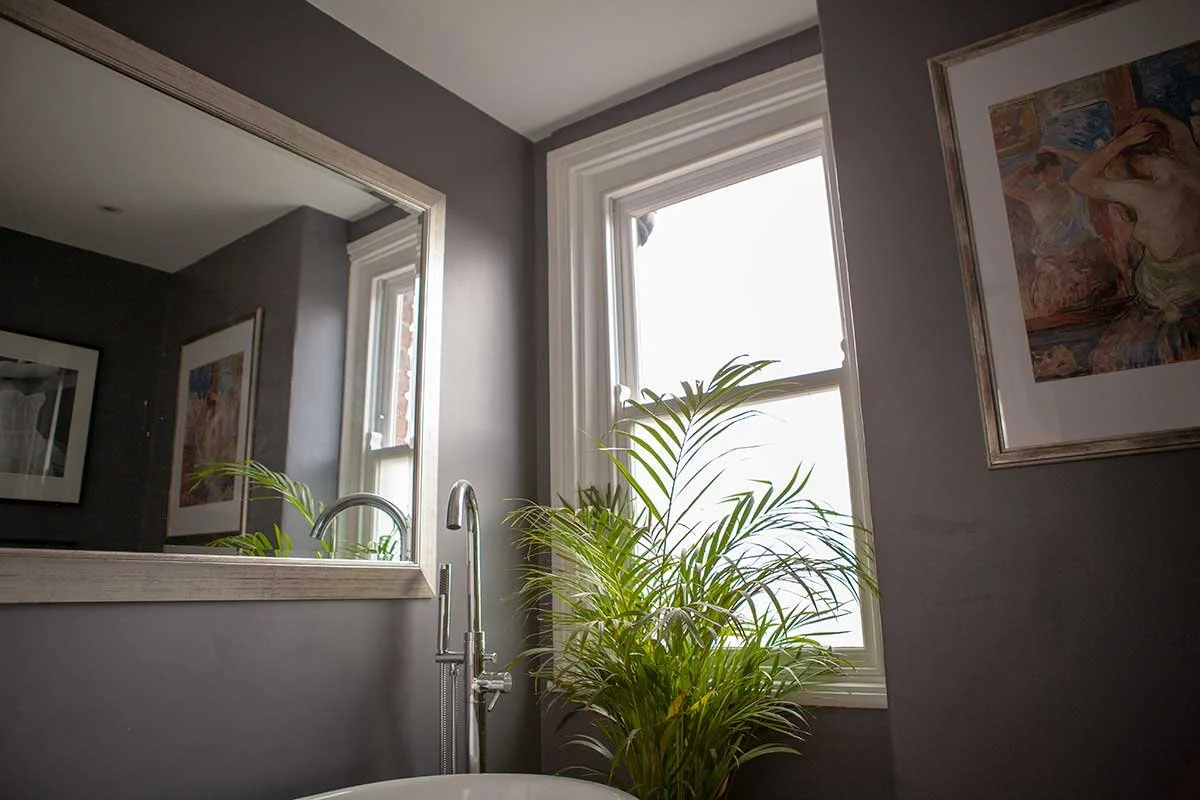 A bathroom with a large mirror, a window, and a green plant near the sink.