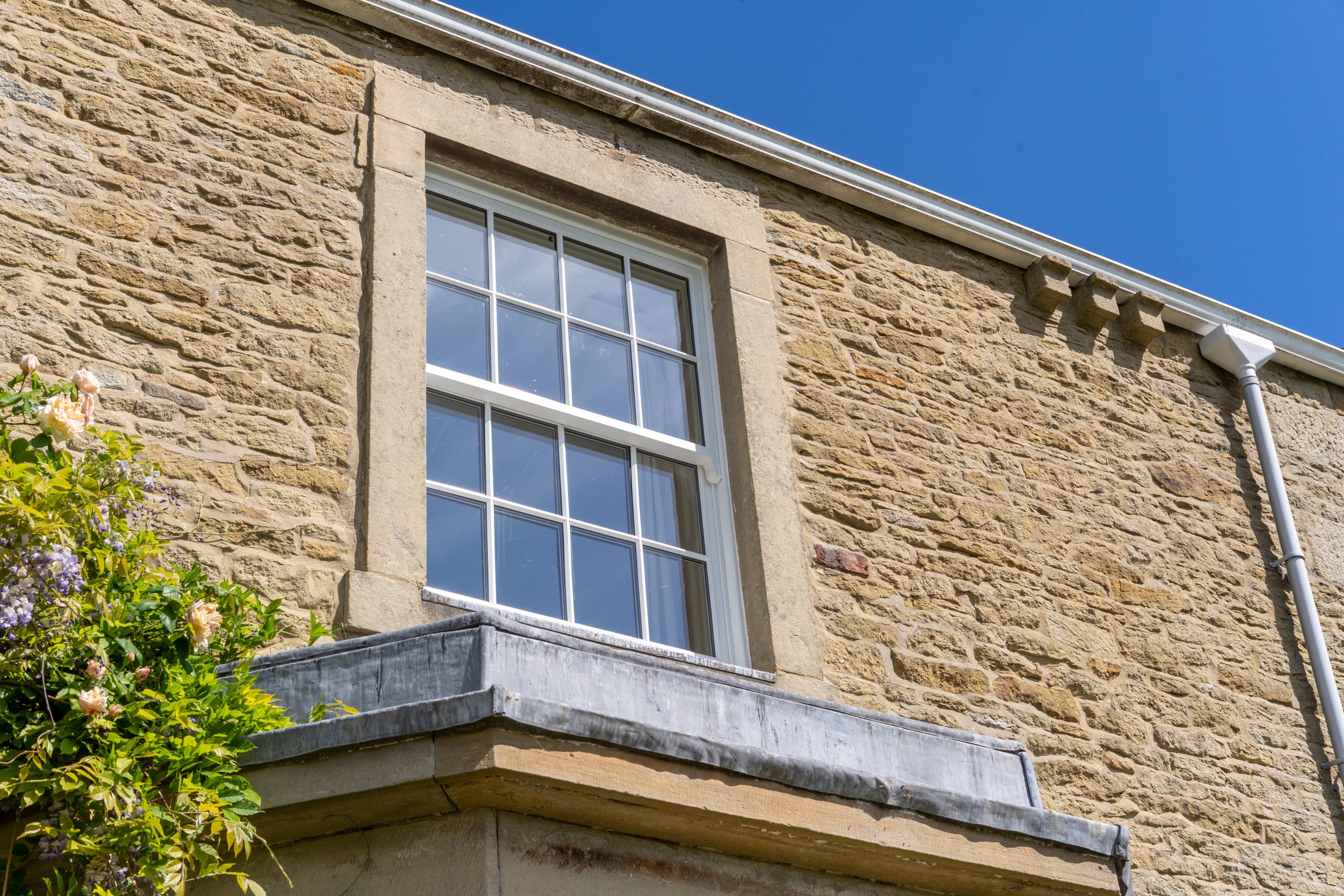 wisteria house window 4 .jpg